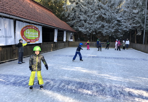 3. Klasse beim  Eislaufen in Berndorf